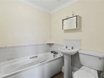 Picture 11
